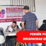 Pensión por discapacidad en 2026: ¿Se exigirá un 65% de discapacidad?