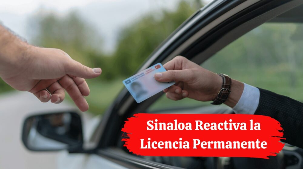 Sinaloa Reactiva la Licencia Permanente: Conoce los Programas Vigentes