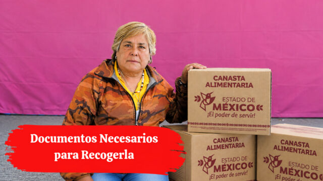 Canasta Alimentaria Octubre 2026: Documentos Necesarios para Recogerla